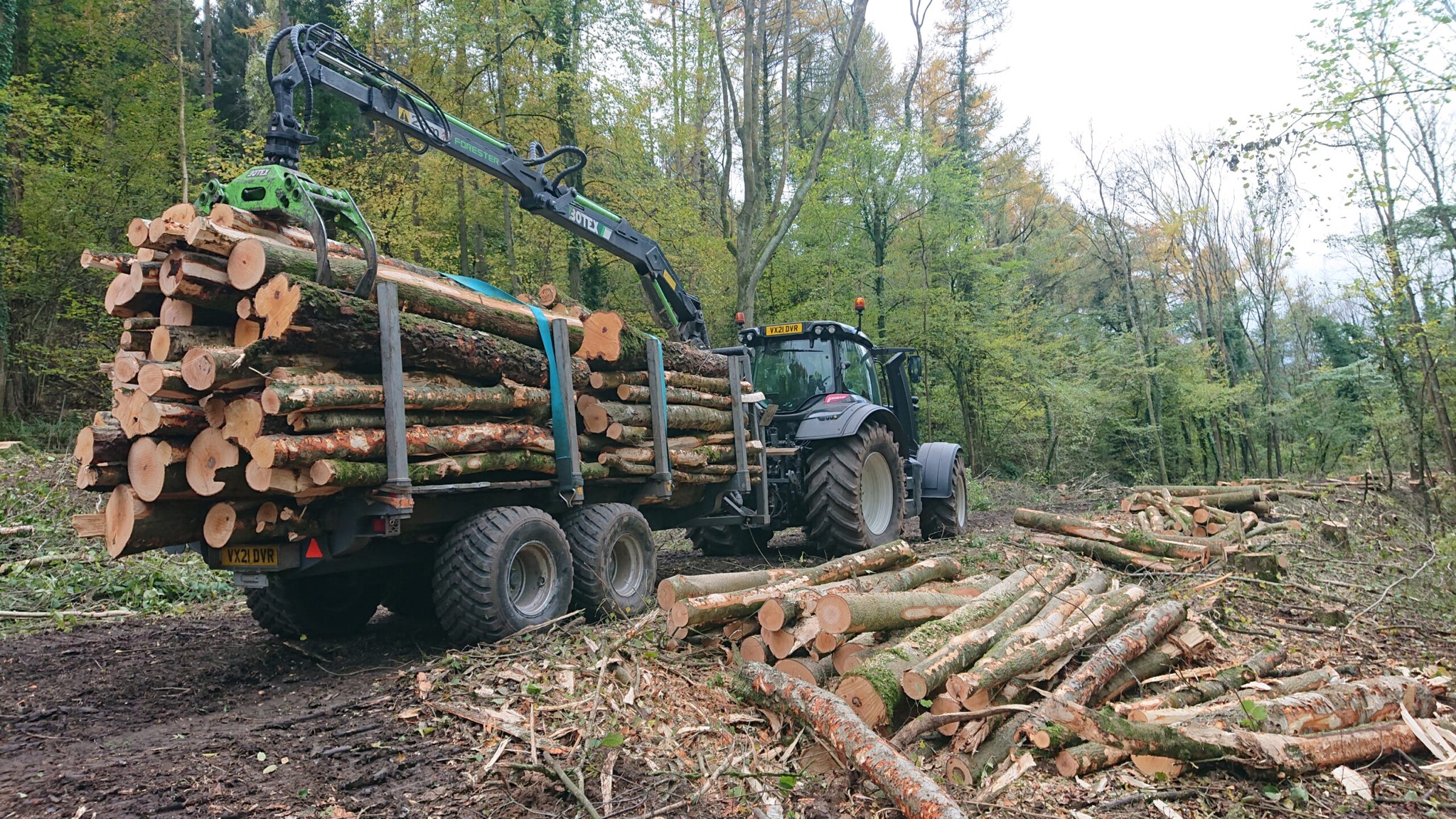 Woodland Maintenance