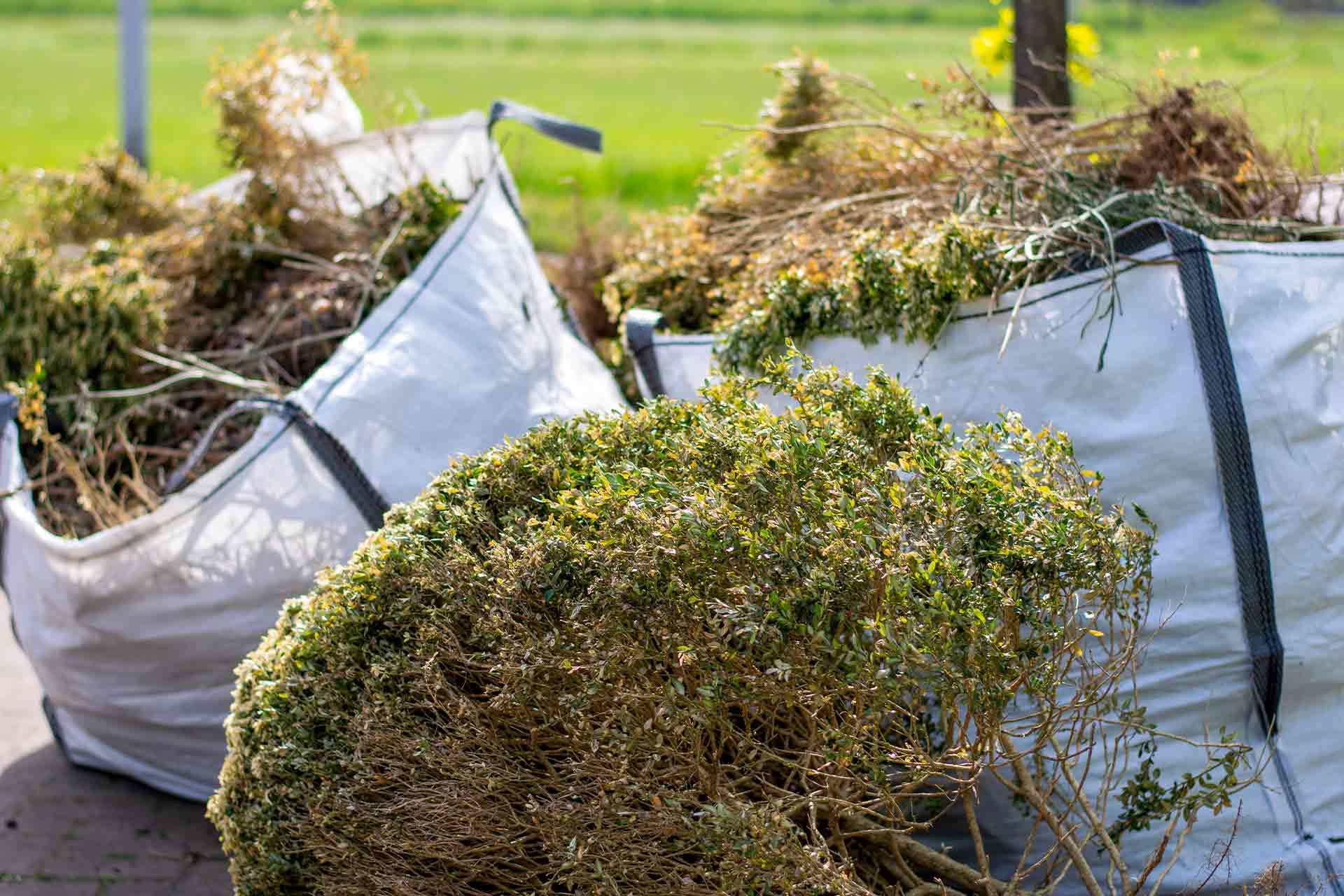 Waste Clearances in Dorset by P&D Landscapes